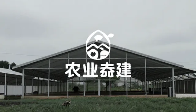 画面叙事在品牌传播中的新趋势与实践路径